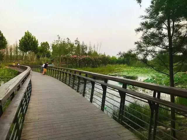 郑州有什么好玩的地方免费开放,郑州好玩的免费景点