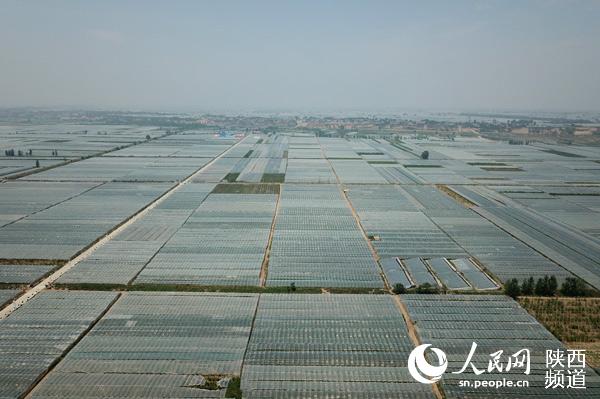 大荔县美丽乡村成果,大荔乡村振兴工作