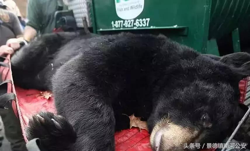 代购十大骗局揭秘图,真正的代购骗局