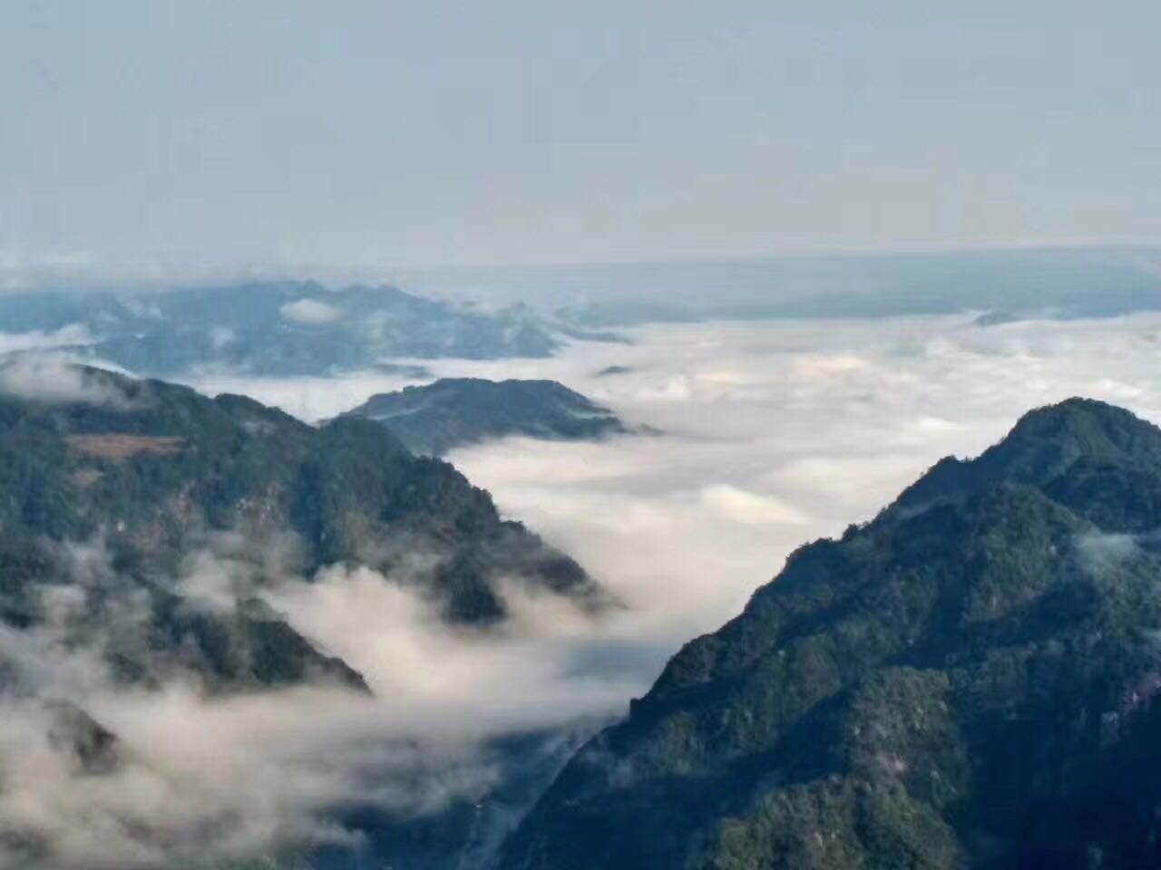 福建儿时的记忆山上的野果,福建山上秋天野果