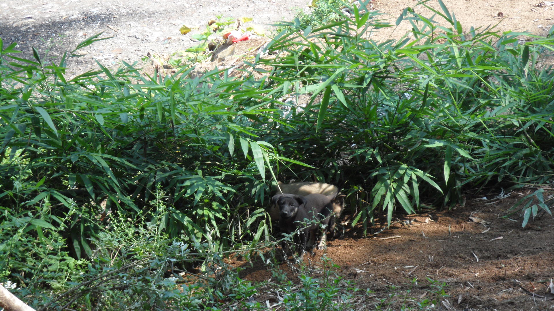 旅行日记徒步西藏,旅行十年笔记