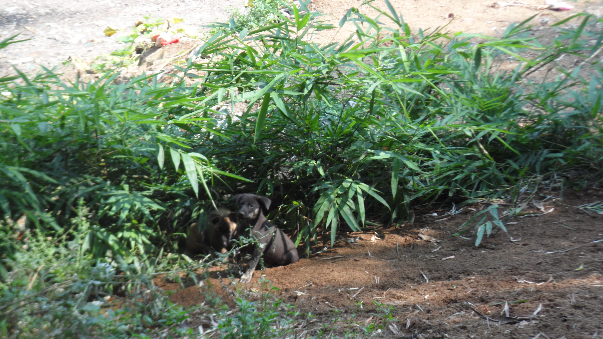 徒步旅行记录全集,乐山徒步旅行记