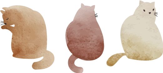 怎么查看自己的社保证明,涨姿势全文阅读