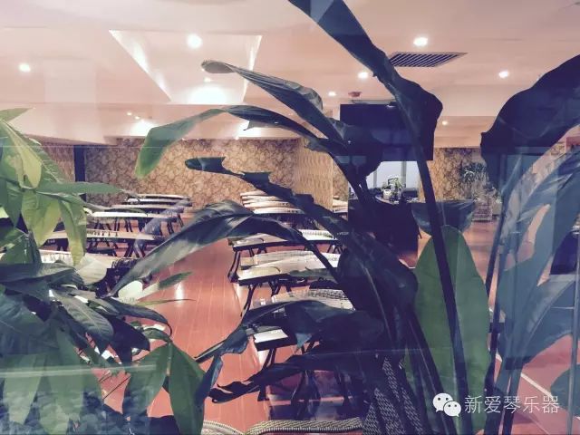 如何让孩子古筝进步大,古筝学好了是什么样