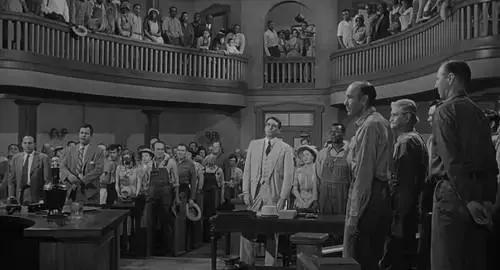 杀死一只知更鸟当你明知道会失败,杀死一只知更鸟在于内心的坚守