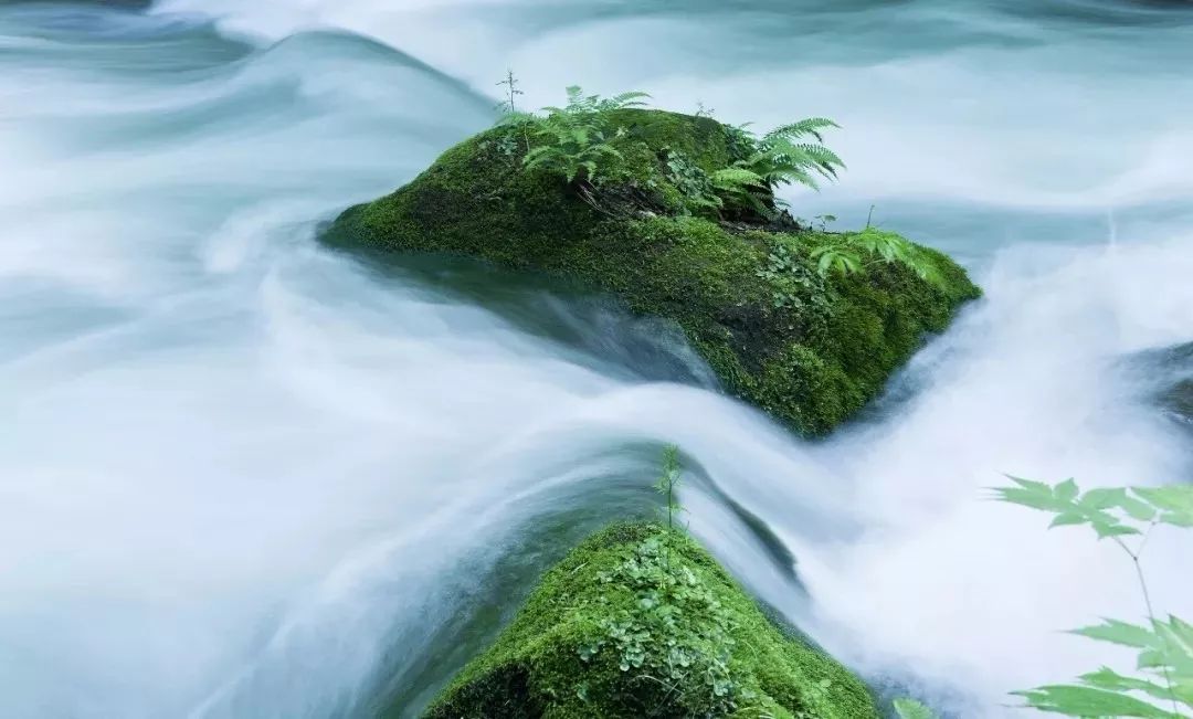 必背超长十大经典古文,公认最难背的十篇古文你认同吗