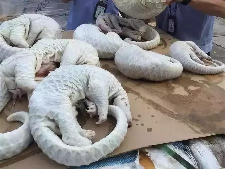 朋友圈里卖低价服装的真相,朋友圈代购惊人内幕