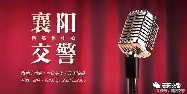 郑州交警抓醉猫,交警查车抓醉猫