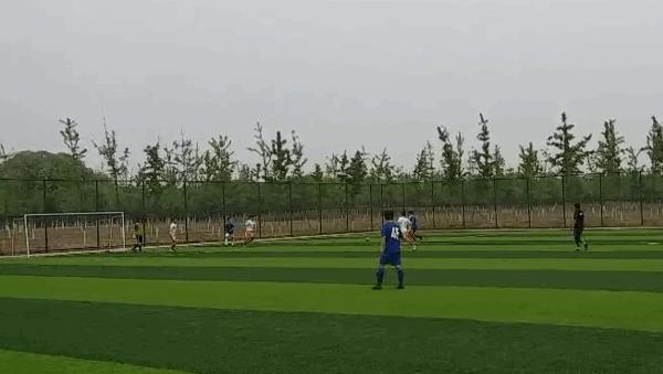 紫禁之巅之战,紫禁之巅对决