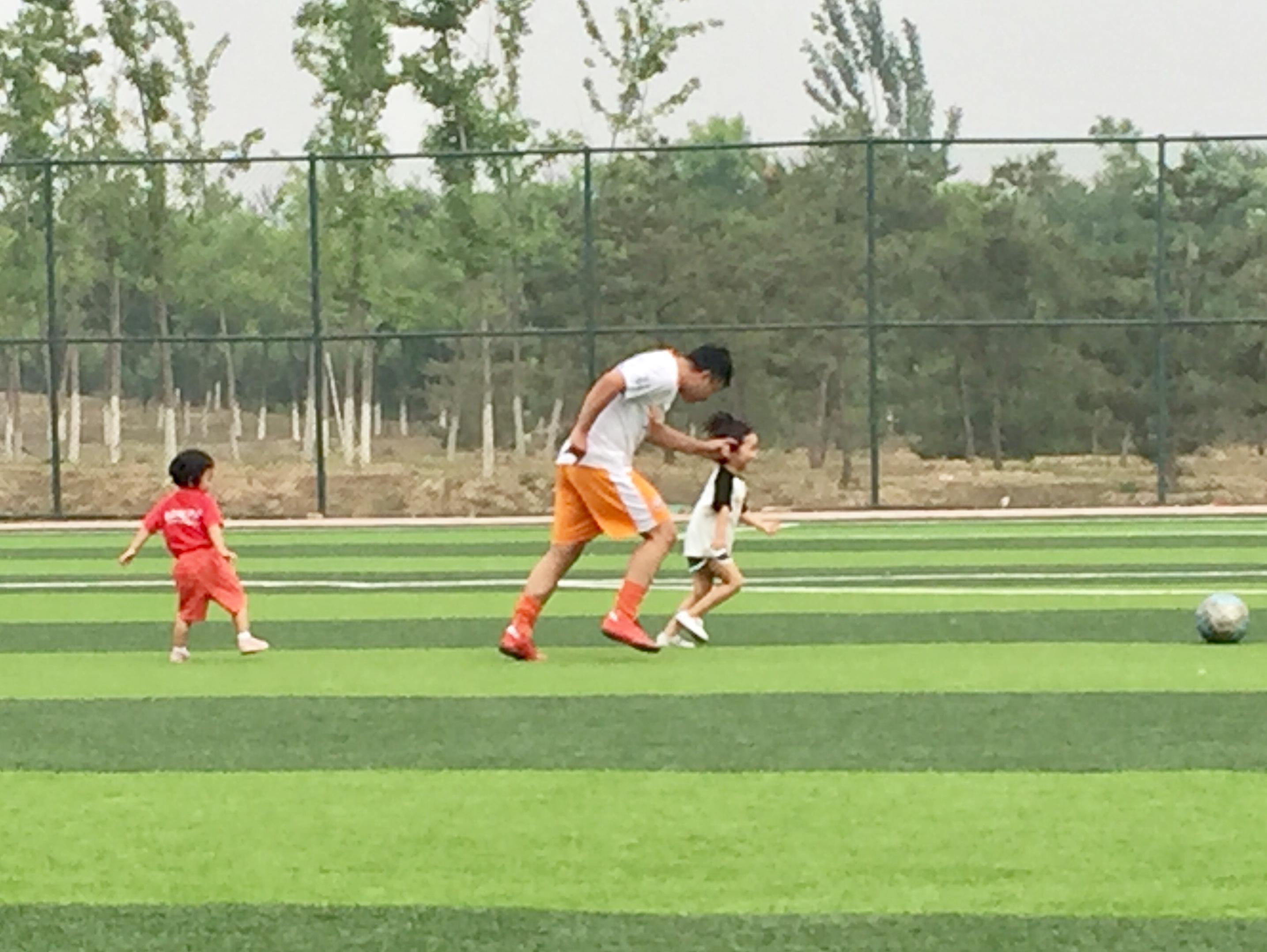 紫禁之巅之战,紫禁之巅对决