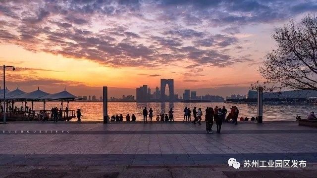 真心不被骗,在哪里可以租到高端公寓