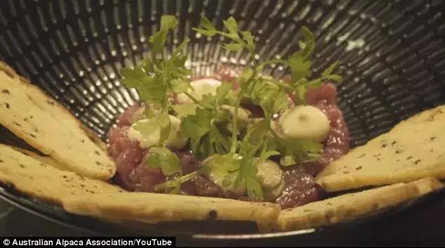 awehome怎么样,awehome靠谱吗