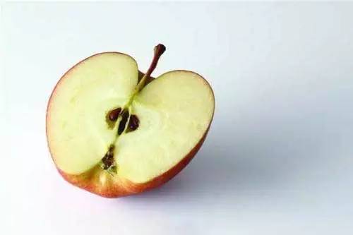 夏天这样吃茄子胜过10副药,反季节茄子可以吃吗