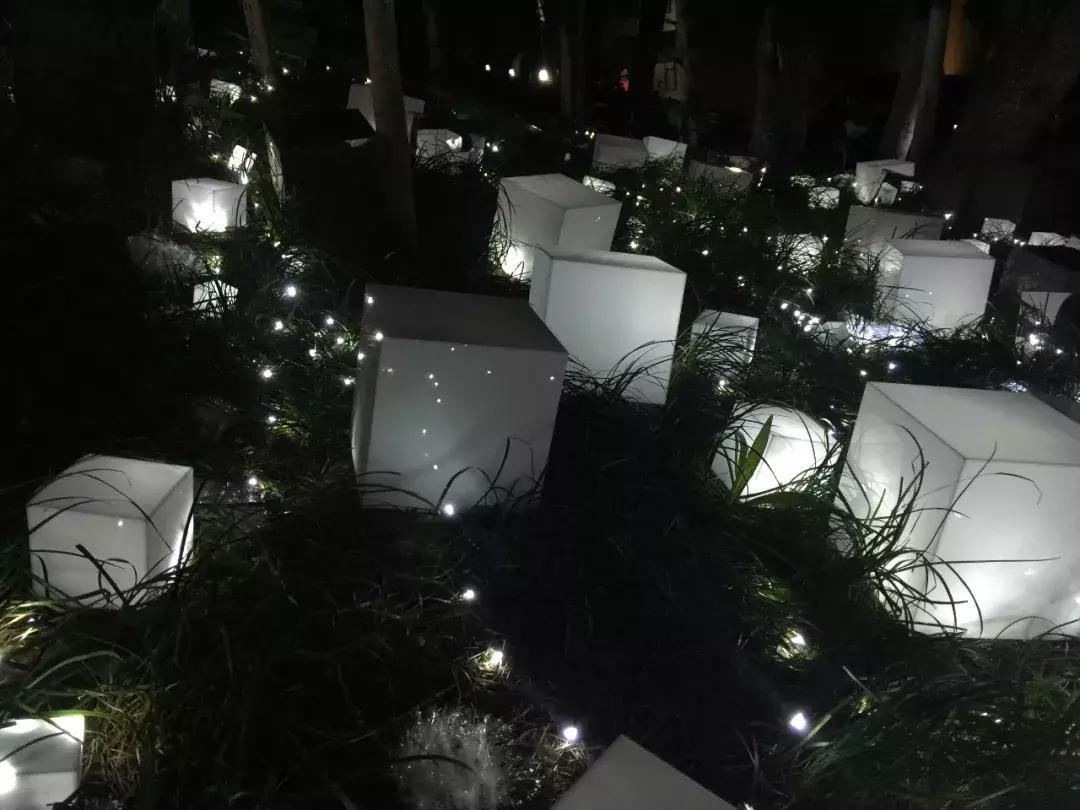 南艺爆料,南艺日常