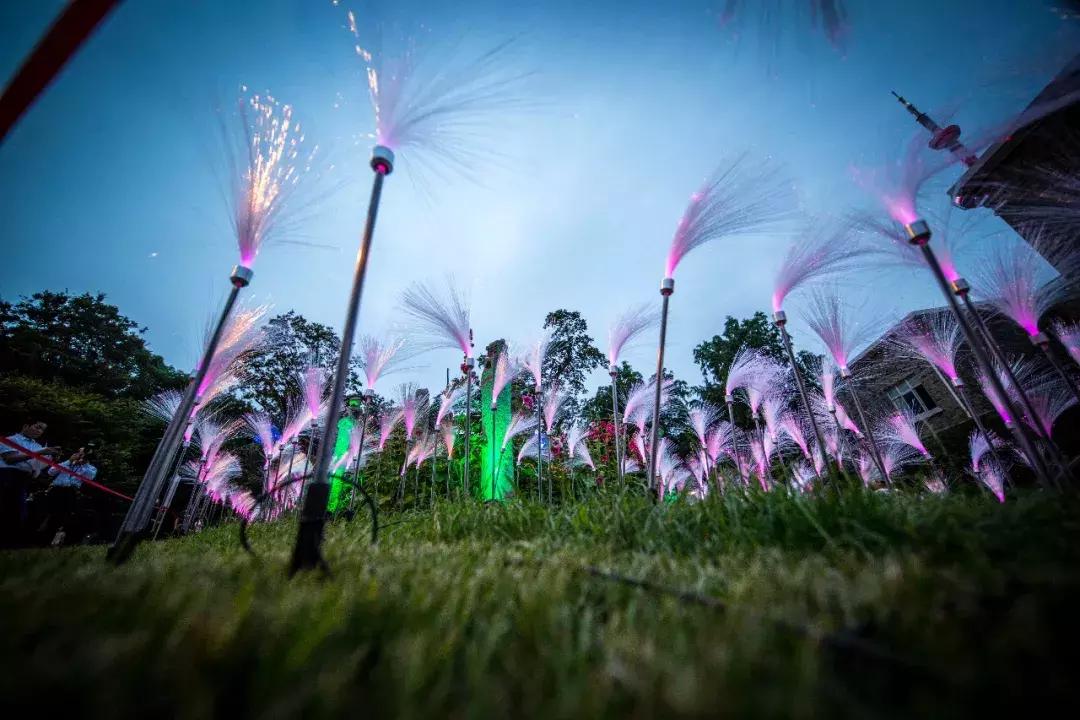 南艺你不知道的事,南艺的真实生活