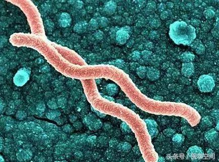 美国癌症协会公布九大防癌建议 (美国癌症协会公布9大防癌建议)