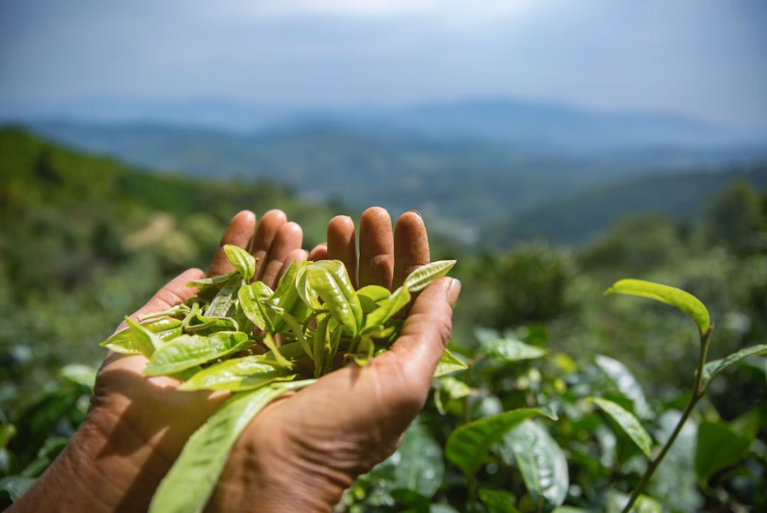 他卖掉所有家当回国创业，做洗护用品，竟引来网红民宿排队打call