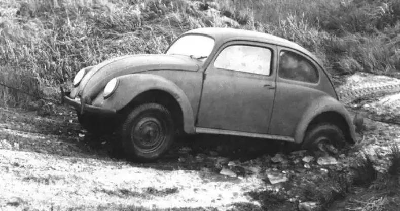 大众甲壳虫你喜欢吗,大众甲壳虫车友聚会