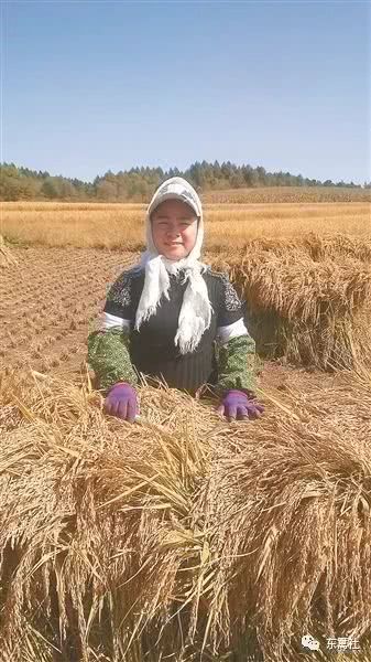 北大才女卖米演讲,北大才女卖米原因