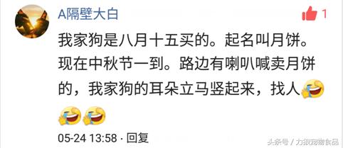 你给宠物起过哪些奇葩的名字？盘点那些让人印象深刻的宠物名字！