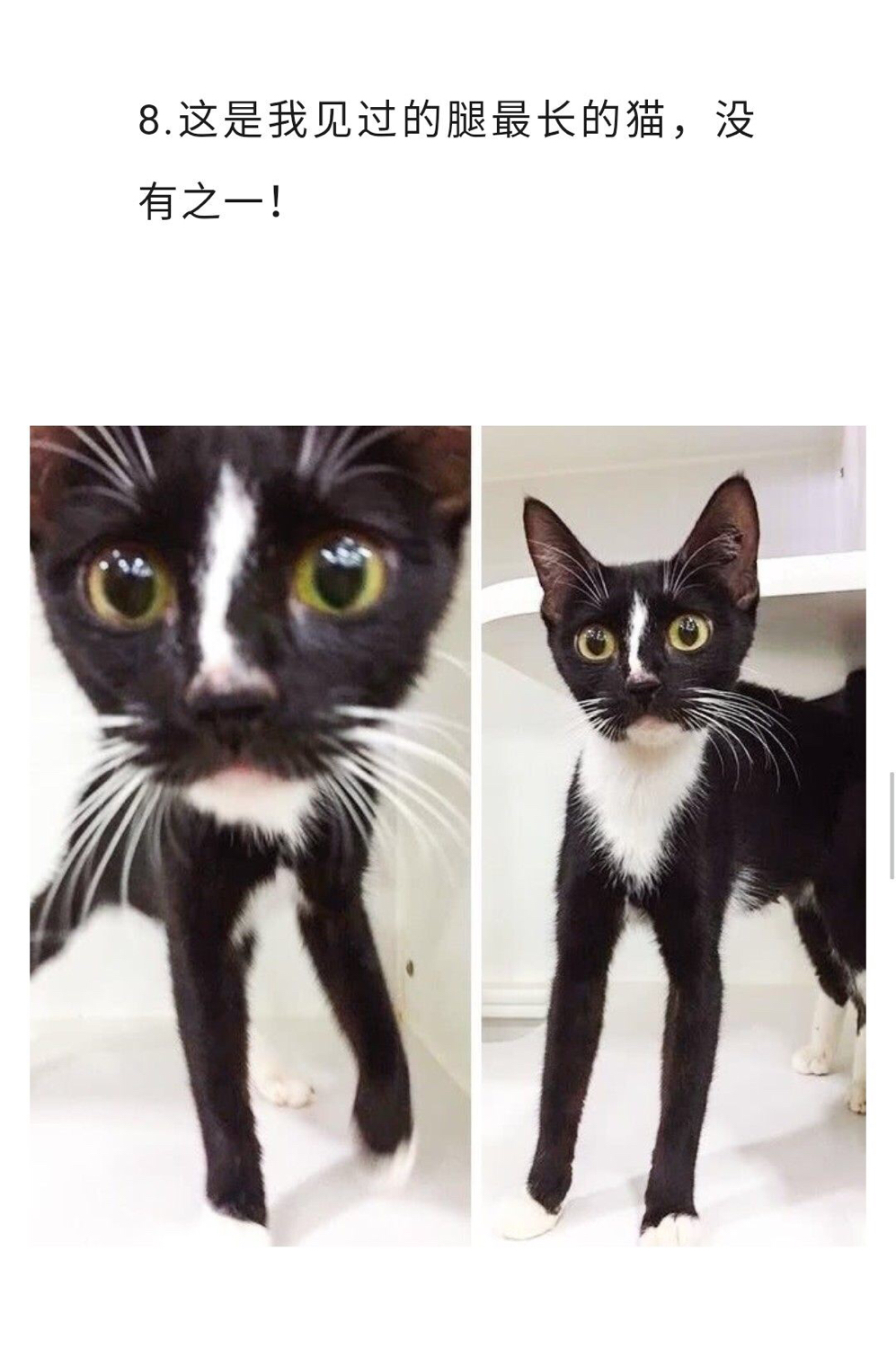 如果你有超能力最想满足什么愿望,假如你有超能力你怎么回答