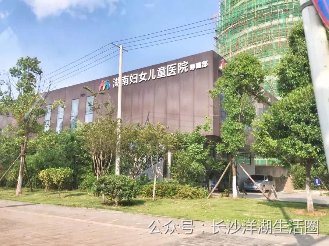 长沙洋湖新建医院,长沙洋湖医院
