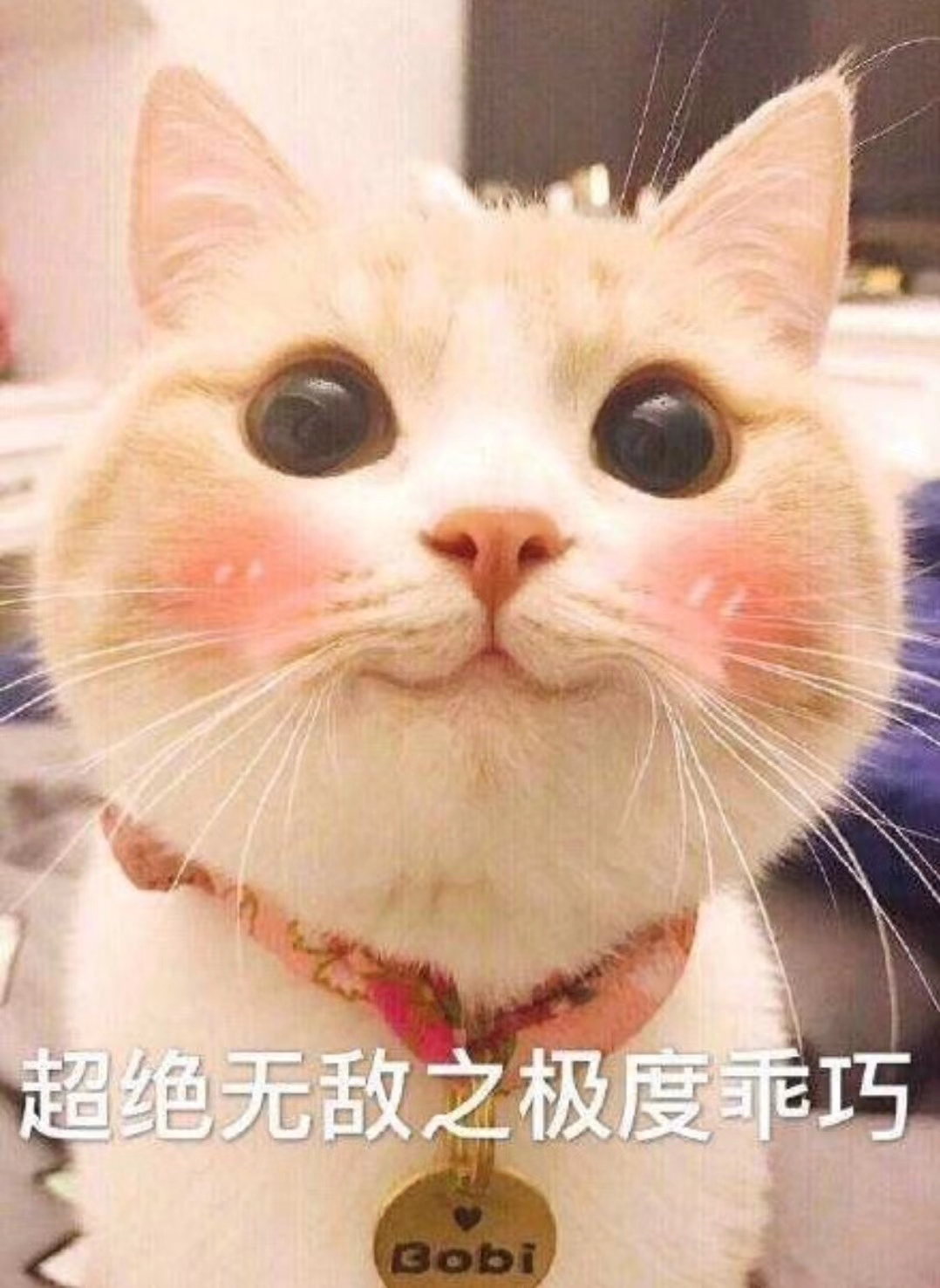 平价眼霜推荐学生党用,平价眼霜推荐