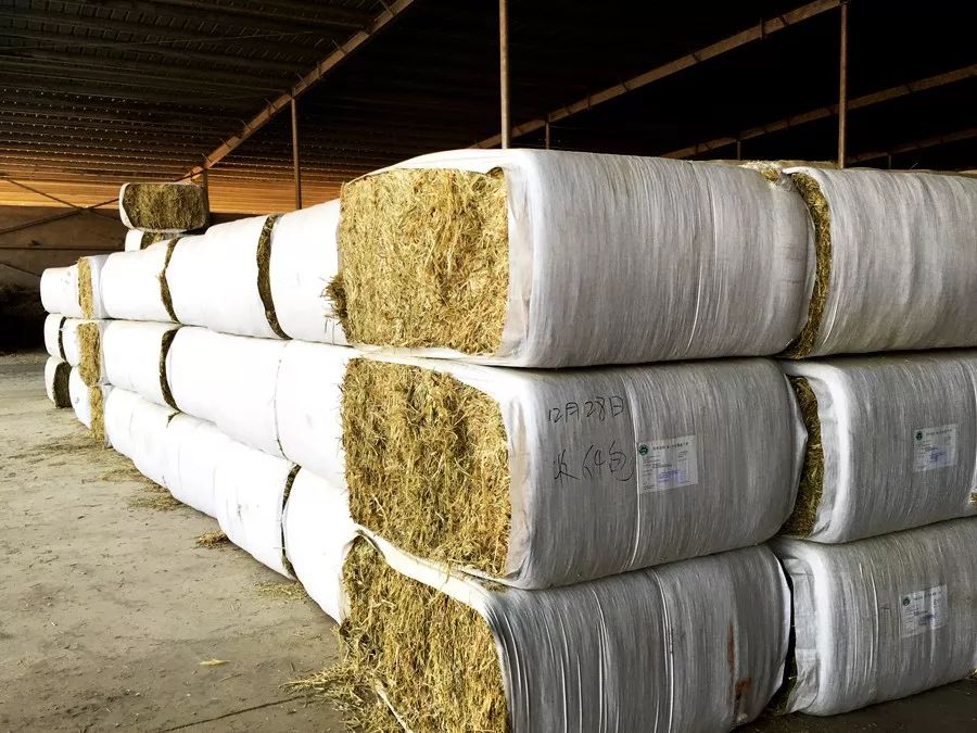 牧场放心奶拼团,牧场牛奶拼团