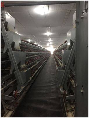 这就是中企！曾经让大家揪心不已的那个铜矿，稳了