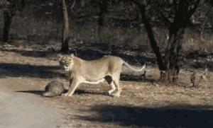 揭露各种海外代购真相,朋友圈代购真实案例