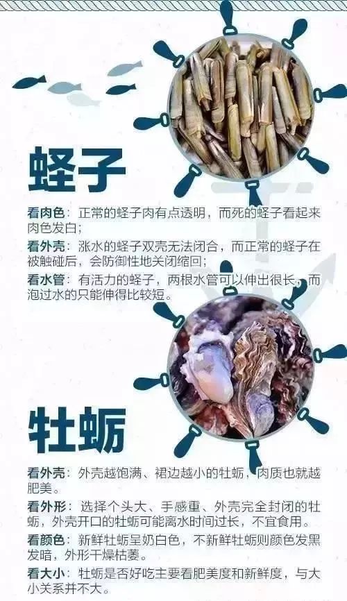 海鲜美食分享吃货日常,美食分享吃海鲜视频