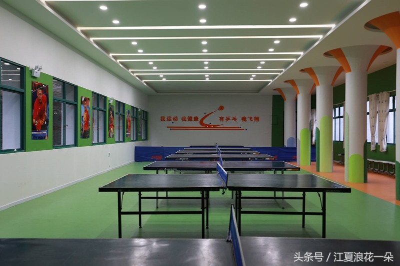 武汉市江夏实验小学,武汉市江夏区实验小学2019