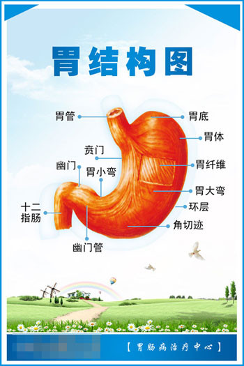 调理胃寒的汤,胃寒怎么调理中成药