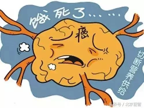 癌症吃素会不会饿死癌细胞,吃素可以饿死癌细胞吗