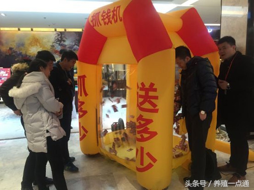 十大最适合农村创业项目,最新适合农村的五个创业项目