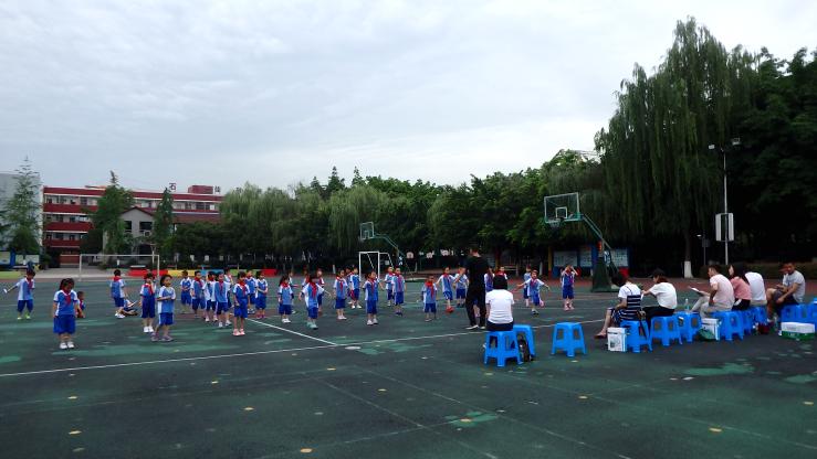 成都武侯外国语学校体育组,武侯区教科院