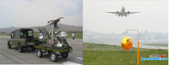 派波——一只机场执勤的边境“牧鸟”犬