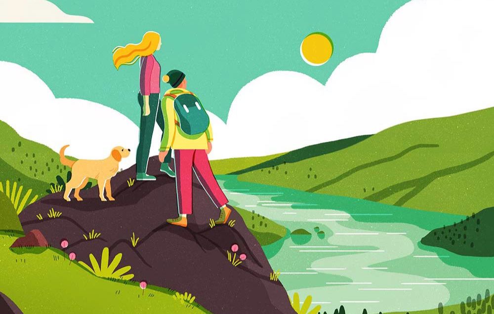 设置百分比收益率的基金定投,基金定投年化收益率怎么算