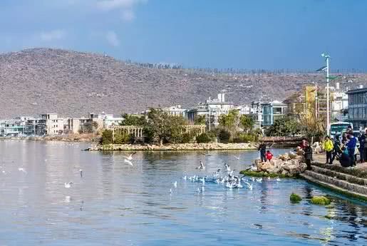 大理十大最佳旅游景点,大理十大旅游景点