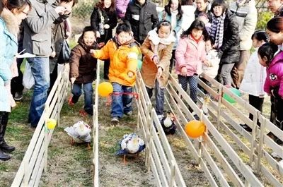 2023龚滩古镇露营音乐节几点开始,2021龚滩古镇民谣音乐节