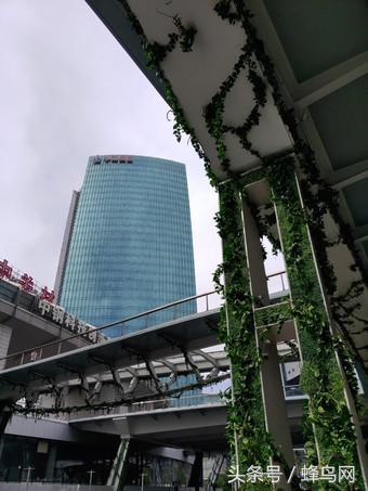 坚果r1拍照实拍,坚果r1拍照速度