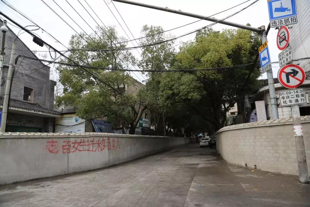 象山老县城,象山变迁