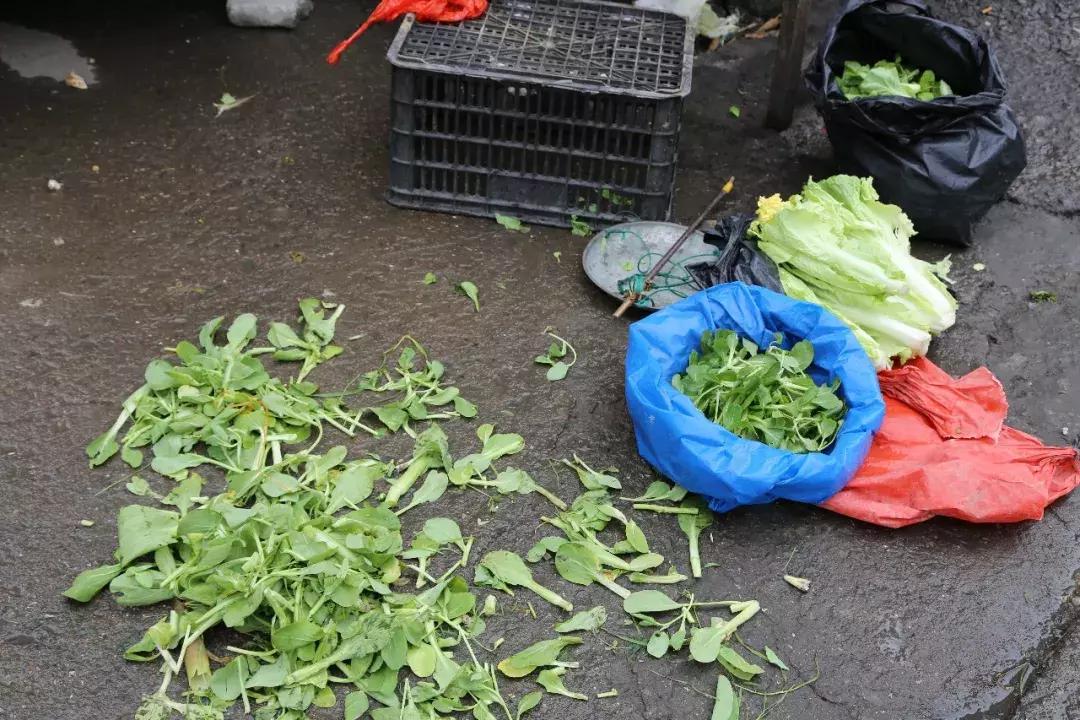 象山老县城,象山变迁