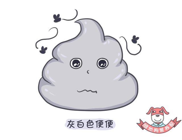 令人困扰的便便儿童科普,关于便便的小知识