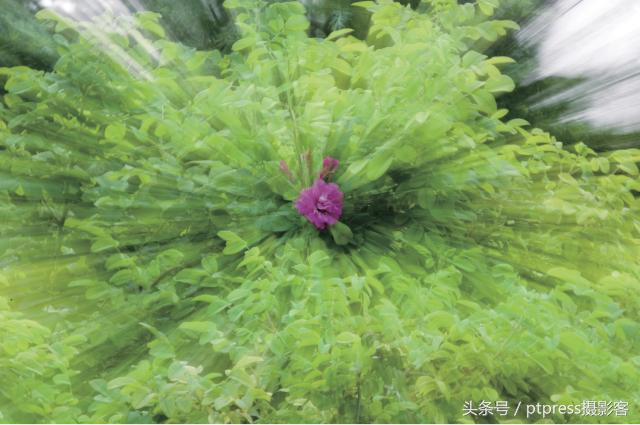 前期拍摄画草图技巧有哪些,线描画人物摄影技巧构图