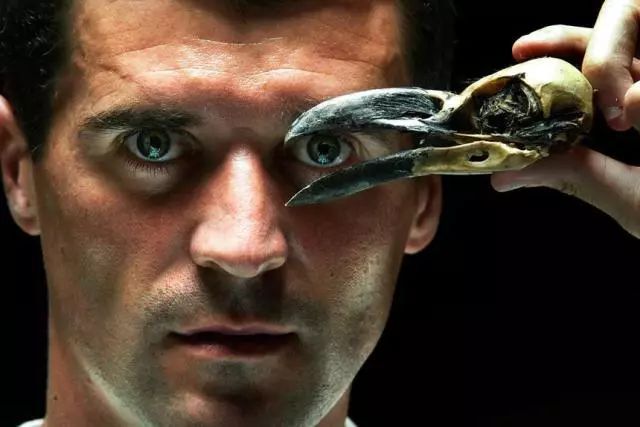 世界杯史话,2002世界杯韩国vs葡萄牙队