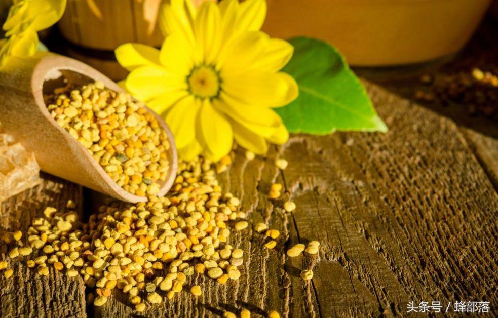 自家土蜂蜜蜂蜡怎么提纯,网上买的蜂蜡能用水煮提纯吗