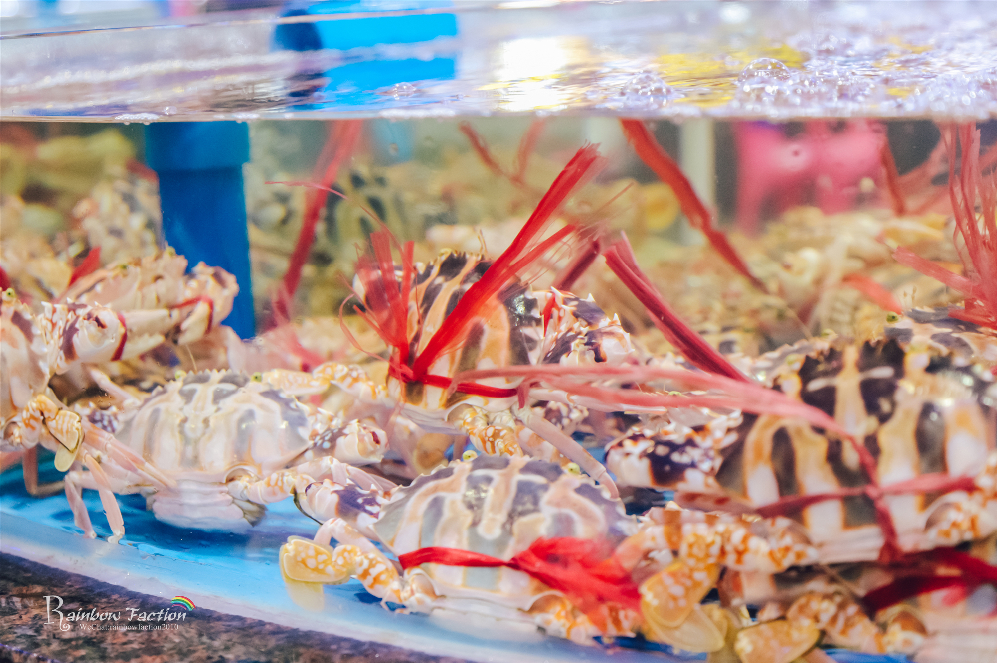 三亚亚龙湾壹号小镇奥特莱斯美食,亚龙湾壹号小镇奥特莱斯