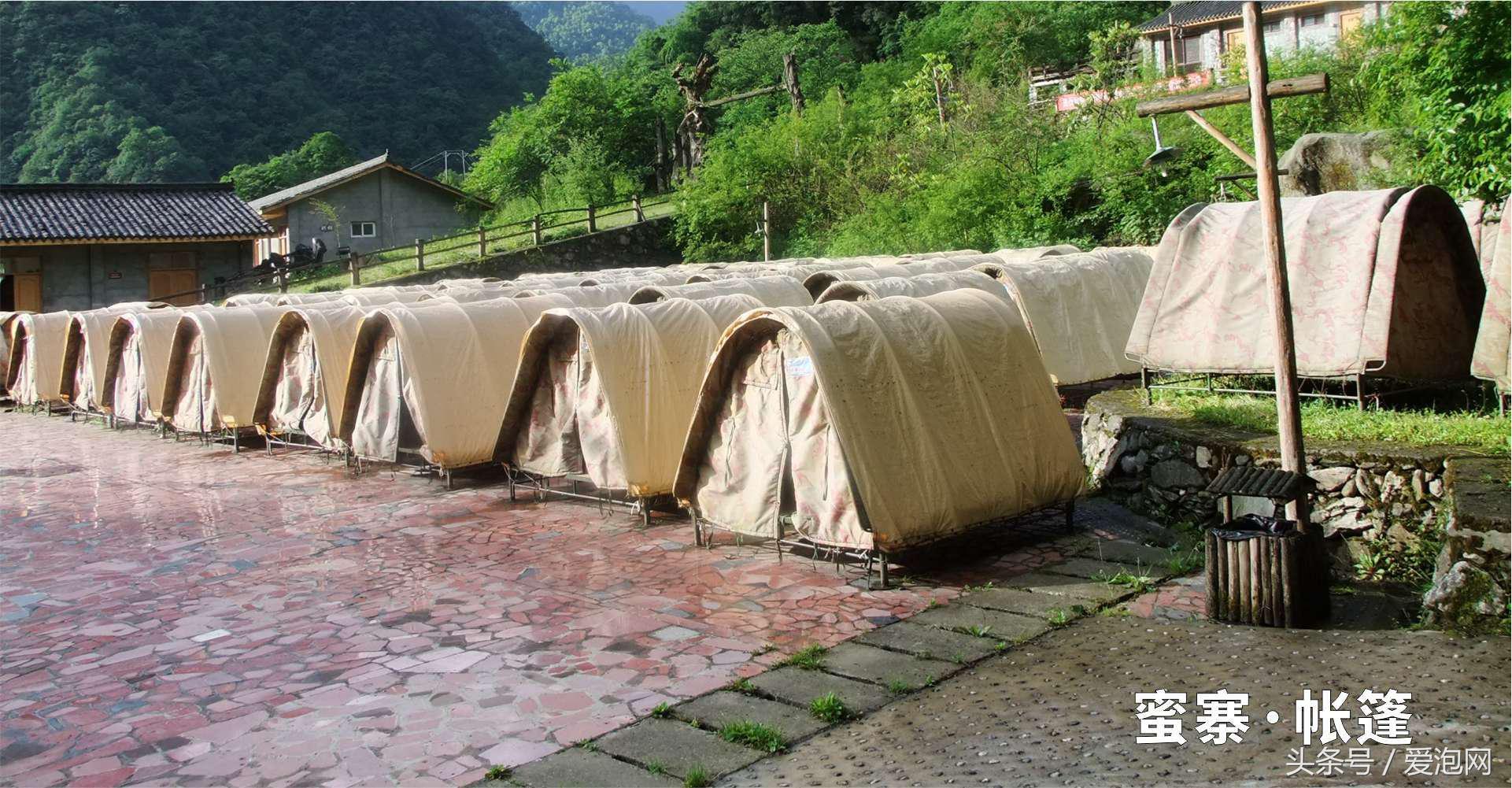 雅安川西竹海必去的三个地方,雅安东拉山大峡谷游记