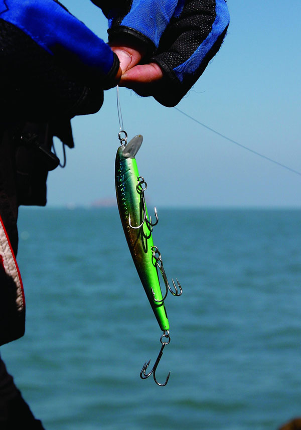 海钓，勇敢者的征服之旅